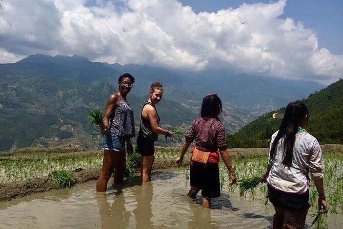 3 Days SAPA Real Experience at Local People House - What Reviewers Say