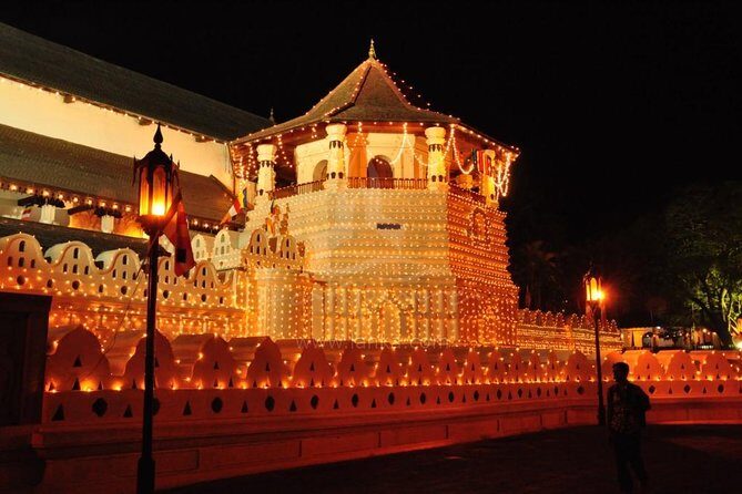 3 Days Tour to Kandy Nuwara Eliya & Sigiriya from Colombo - The Experience: Transport, Guides, and Amenities