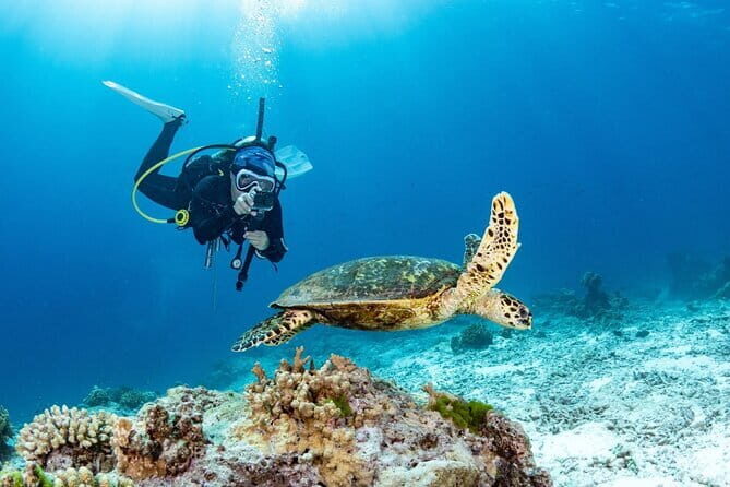 3 Fun dives in Phi Phi islands for Certified Divers - Frequently Asked Questions