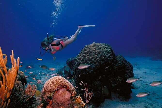3 Fun Dives in Racha Yai and Racha Noi for Certified Divers - Who Would Love This Experience?