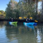 3 Hour Guided Tandem Kayak Adventure - Who Will Love This Tour?