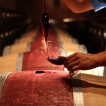 3 Hour Horse Ride to a Castle for Wine Tasting and snack Lunch - What Sets This Tour Apart?