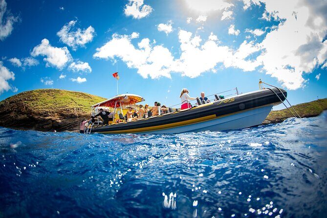 3-Hour Koa Kai Afternoon Adventure Snorkel - How It Compares: Value and Experience
