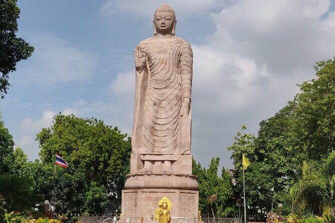3 Hour Walking Tour of Buddhism in Sarnath - The Experience: What to Expect