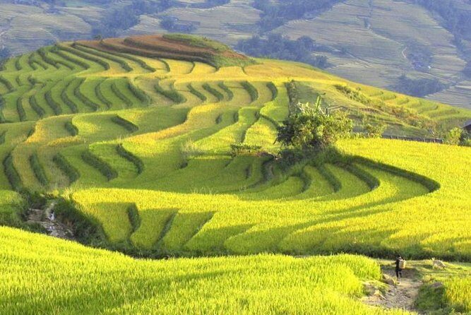 3-Night Sapa Trek and Homestay with Round Trip Transfer from Hanoi - Who Is This Tour Best For?