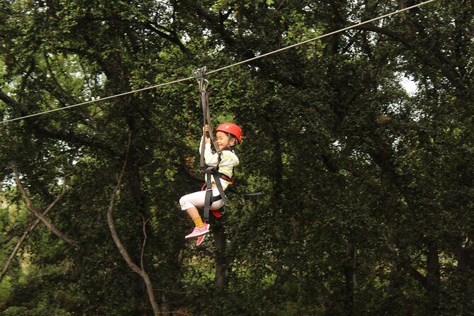 3 Zipline Adventure with Waikiki Transportation - The Experience in Detail