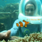 30 Minutes Ocean Walking in Nusa Dua, Bali - Authentic Traveler Insights