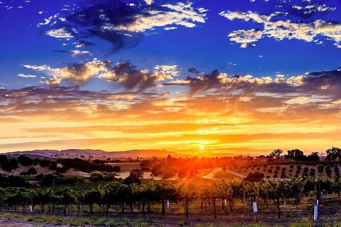 30 Minutes Private Flight Experience Over Paso Robles by Plane - Who Should Consider This Experience?