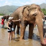3D2NTrek Adventure at Chiang Mai Mea Wang Including Overnight at Karen Hilltribe - Practical Details and Value