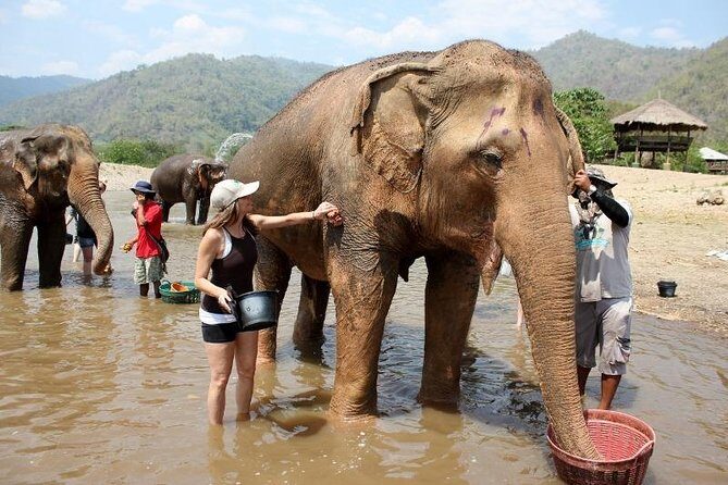 3D2NTrek Adventure at Chiang Mai Mea Wang Including Overnight at Karen Hilltribe - Practical Details and Value