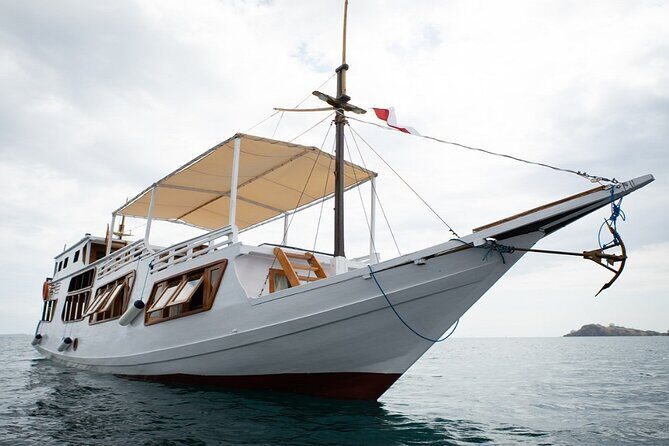 3Days Komodo Tour By Private Boat for 4 pax - What Makes This Tour Stand Out?