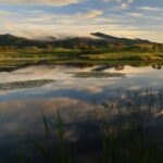 3hours Nature Guided Tour in Shiretoko Five Lakes - Deep Dive into the Experience