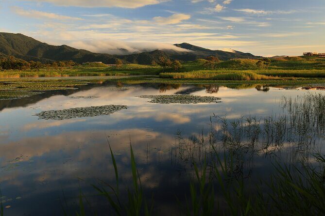 3hours Nature Guided Tour in Shiretoko Five Lakes - Deep Dive into the Experience