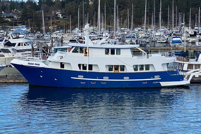4 Course Dinner Luxury Yacht Dinner cruise out of Friday Harbor - Authentic Insights & Guest Perspectives