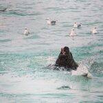 4 day Alaska Seward Camping Adventure from Anchorage - What Makes This Tour Stand Out