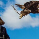 4 Day Golden Eagle Festival - What Makes This Tour Stand Out?
