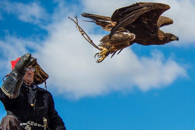 4 Day Golden Eagle Festival - What Makes This Tour Stand Out?