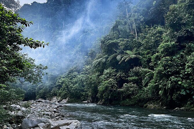 4 Day Jungle Adventure including 2 day trek - An In-Depth Look at the Itinerary