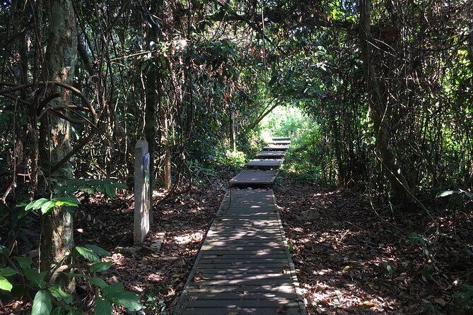 4-Day Jungle Experience in Taman Negara from Kuala Lumpur - Final Thoughts: Who Will Love This Tour?