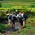 4-Day Jungle Trekking in Ba Be National Park - What Makes This Tour Stand Out?