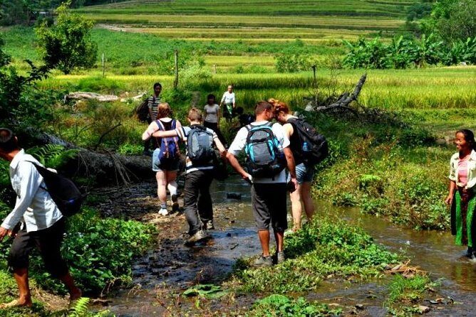 4-Day Jungle Trekking in Ba Be National Park - What Makes This Tour Stand Out?