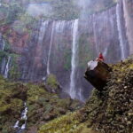 4 Days Bromo Ijen Tumpak Sewu from Surabaya Malang Banyuwangi - Transportation and Comfort