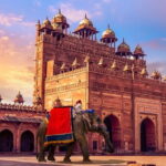 4 days Golden Triangle Tour - Authentic Insights from Past Travelers