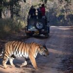 4 Days Golden Triangle Tour with Ranthambore from Delhi - Frequently Asked Questions