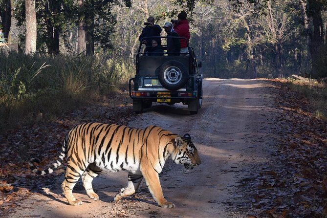 4 Days Golden Triangle Tour with Ranthambore from Delhi - Frequently Asked Questions