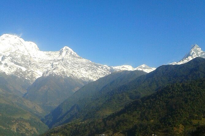 4 Days Mardi Himal Base Camp Trekking in Pokhara - Day 3: Reaching Mardi Himal Base Camp
