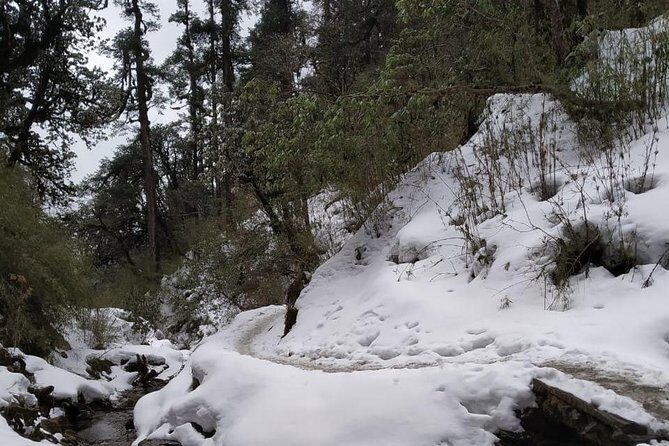 4 Days Poon Hill Trek from Pokhara - What Makes This Trek Special?