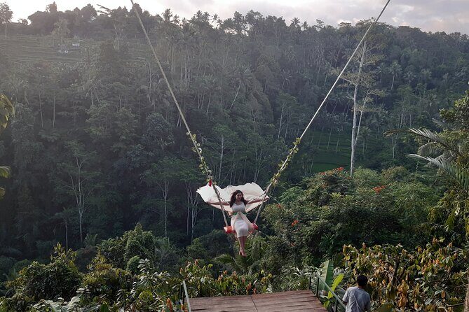 4 Days Private Tour Bali Highlights Nusa Penida and Ubud - Why This Tour Offers Great Value