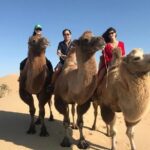 4 Days-The Best of Mongolia Collection tour - The Detailed Experience: What to Expect from Each Day