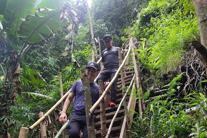 4 EXPERIENCES DAY TRIP. Sticky waterfalls, Elephants, Wat &Market - Best For