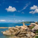 4-Hour Day Tour in Koh Samui - Transport and Overall Value