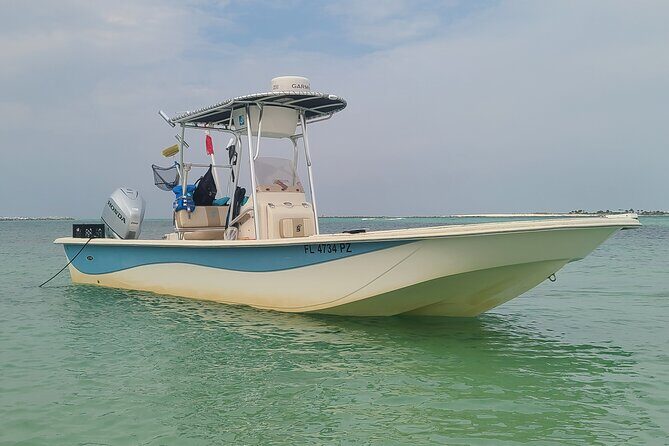 4 Hour Eco Dolphin Tour in Panama - The Perfect Fit: Who Should Book This?