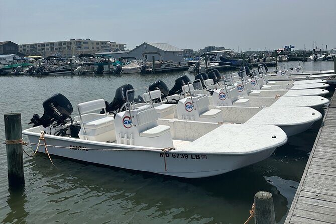 4-Hour Fishing Skiff Boat Rental in Dewey Beach, DE - Who Would Love This Experience?