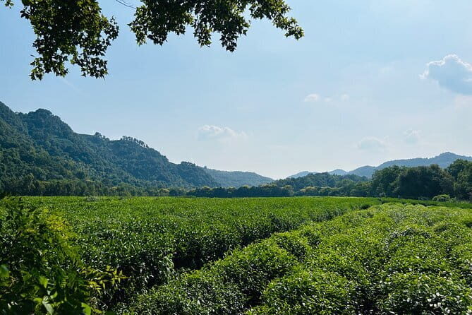 4-Hour Hangzhou Highlights Tour of Lingyin Temple and West Lake - The Value of This Tour