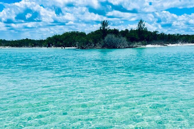 4-Hour Island/Sandbar Excursion with Captain - The Sum Up