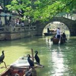 4-Hour Tongli Water Town Private Tour from Suzhou with Boat Ride - A Deep Dive into the Tongli Experience