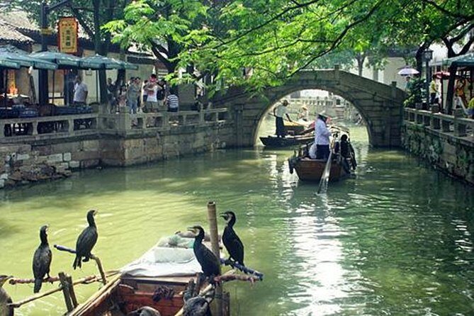 4-Hour Tongli Water Town Private Tour from Suzhou with Boat Ride - A Deep Dive into the Tongli Experience
