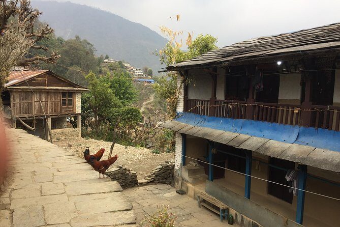 4 Nights 5 Days Easy Trek from Pokhara Valley - What’s Included and What’s Not