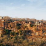 4 Nights 5 Days Jaipur-Ranthambore Tour - Practical Details