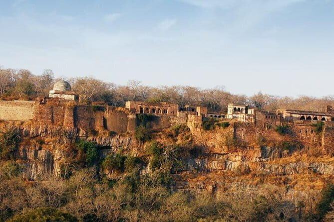 4 Nights 5 Days Jaipur-Ranthambore Tour - Practical Details