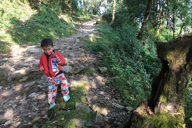 4WD Drive to Dhampus and Easy Hiking to Australian Camp from Pokhara - What Sets This Tour Apart