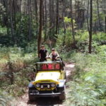 4WD Jeep Mount Batur Sunrise Experience By Bali Volcano Jeep - Authentic Aspects Highlighted by Reviewers