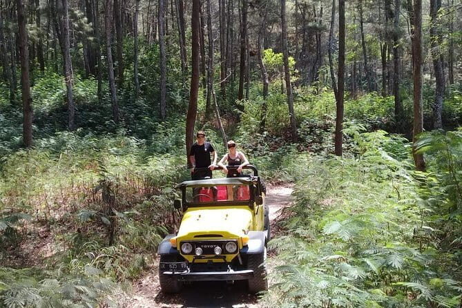 4WD Jeep Mount Batur Sunrise Experience By Bali Volcano Jeep - Authentic Aspects Highlighted by Reviewers
