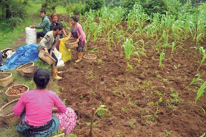 5-Day Private Farming Experience in Nayapul with Accommodation - What We Loved About This Tour