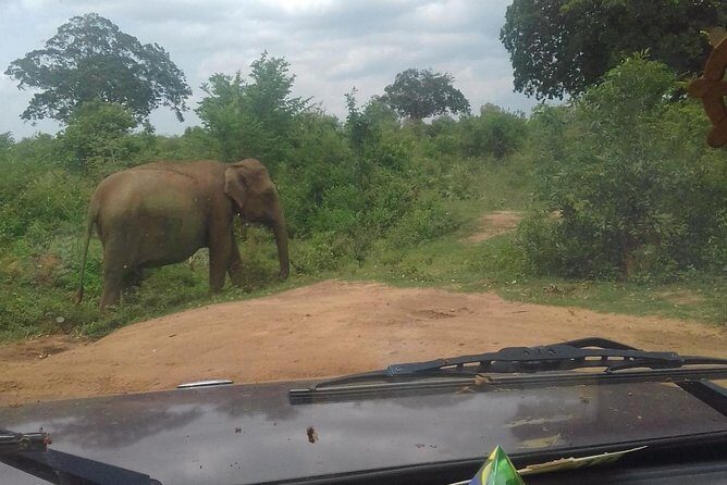 5 Day Private Tour Sri Lanka - An In-Depth Look at the Itinerary