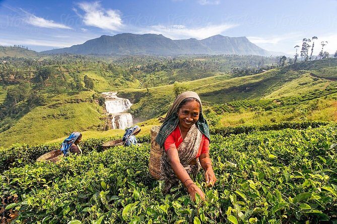 5-Day Sri Lanka Central Highlands Tour - Practical Tips for Travelers